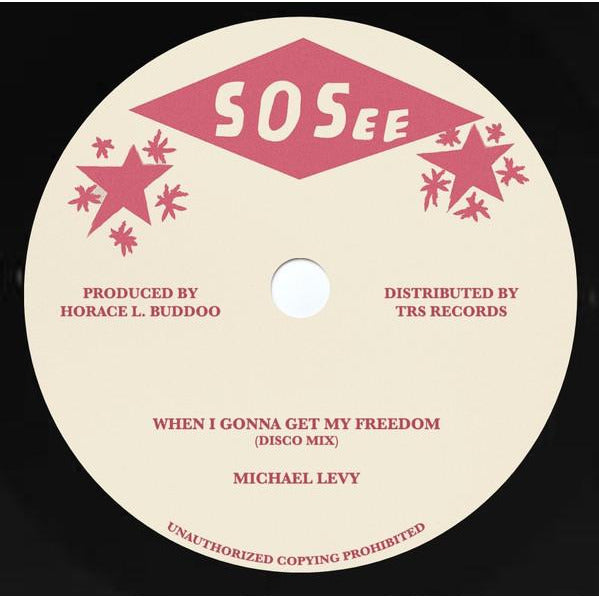 MICHAEL LEVY - When I Gonna Get My Freedom (12")