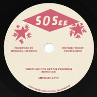 MICHAEL LEVY - When I Gonna Get My Freedom (12")